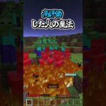 〇〇した人の魔法【マインクラフト】#マイクラ #shorts