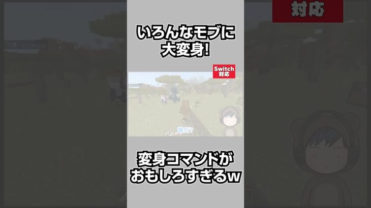 【マイクラ】どんなモブにでも変身できる！！簡単で超楽しいコマンド！#shorts