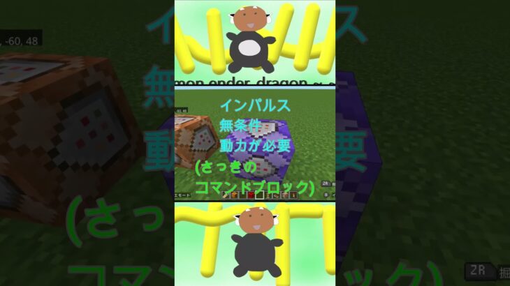 なんかできたんだけど…。#shorts #minecraft #マインクラフト #command #コマンド #なんかできたんだけど #マイクラ