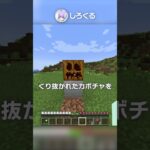 【最強トラップ】みんな作って！！！！！【マイクラ豆知識 解説 裏技】