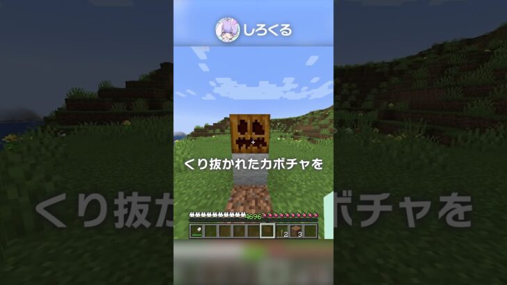 【最強トラップ】みんな作って！！！！！【マイクラ豆知識 解説 裏技】