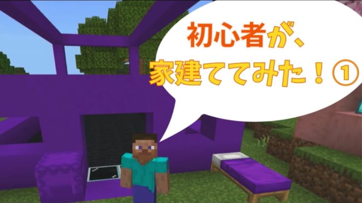 マインクラフト｜初心者が、 家建ててみた！①｜ゲーム実況