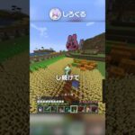 最強の歩き方？！【マイクラ豆知識 解説 裏技】