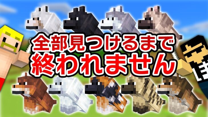 【マイクラアプデ】新登場！オオカミ全て見つけるまで終われません！