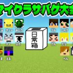 【健康鯖】春のマイクラサバゲ大会!!【ぺいんと視点】