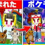 ⭐ポケモンの世界に生まれた子供たちがポケモンマスターになるまで【まいくら/マインクラフト】