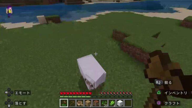 1こめの家も作ろう！（マインクラフト）