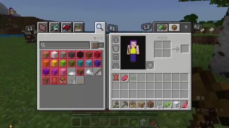 1こめの家も作ろう！（マインクラフト）