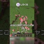 【1.21】無限に高く飛べる超絶テクニック？！【マイクラ豆知識 解説 裏技】