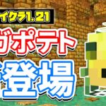 【マイクラ1.21】メガポテト(Mega Spud)が新登場！？ポテトディメンションが追加＆コロシアム・偉大な杖など詳しく解説！【マインクラフト】Snapshot24w14potatoエイプリルフール