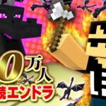 【第1部】20万人直前！！10連続エンドラ討伐【マイクラ】