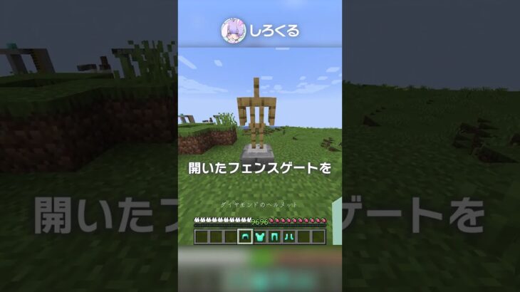 【世界記録】6秒でマイクラショートRTAをクリア？！(？？？)【マイクラ豆知識 解説 裏技】