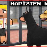 EFEKAN HAPSE GİRDİ, KÖPEK ÇETESİ HAPİSTEN KAÇIRDI! 😱 – Minecraft