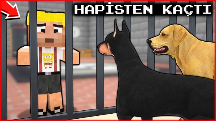 EFEKAN HAPSE GİRDİ, KÖPEK ÇETESİ HAPİSTEN KAÇIRDI! 😱 – Minecraft