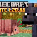 EVERYTHING in the BRAND NEW Minecraft 1.20.80 Update!