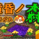 黄昏の森MOD　#マイクラ #まいくら #マインクラフト#Minecraft