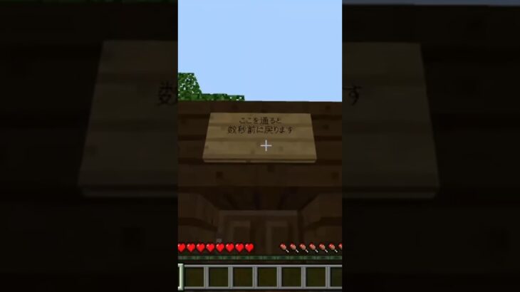 魔法のドア #マイクラ #Minecraft