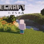 【Minecraft】村の整備／マイクラ建築雑談配信#18