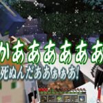 【マイクラ】魔術れ夢の国マルチ Part12【ゆっくり実況】