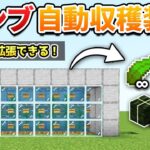 【簡単】コンブ自動収穫装置の作り方！オブザーバー無し！【マイクラ統合版/Switch/スマホ】