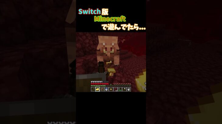 息抜きにSwitchでマイクラしてたら… #minecraft #マイクラ