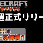 【マイクラ情報】Ver1.20.5 最後のアップデートと新たな音楽の追加あり!? Java版マインクラフト・リリース候補 今後のアップデート情報