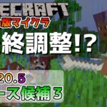 【マイクラ情報】Ver1.20.5 最終調整でもうすぐ正式リリース!? Java版マインクラフト・リリース候補3 今後のアップデート情報