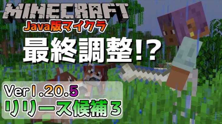 【マイクラ情報】Ver1.20.5 最終調整でもうすぐ正式リリース!? Java版マインクラフト・リリース候補3 今後のアップデート情報