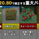 【統合版マイクラ】Ver1.20.80修正する重大なバグ6選!! 統合版マインクラフト・バグ修正報告会【Switch/Win10/PE/PS4/Xbox】