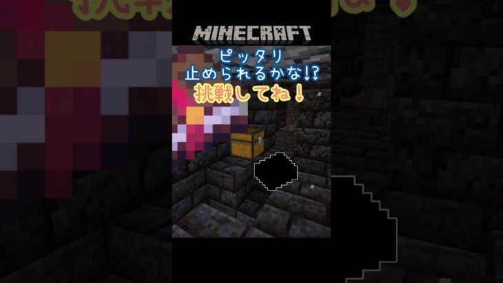 貴重なエンチャント！枠にピッタリ止められるかなチャレンジ！part159【Minecraft】 #shorts #マイクラ #マインクラフト  #minecraft