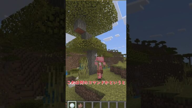 【マイクラ】面白いコマンドってありますか？？？？？？？？？ #マイクラ #マインクラフト#shorts #アトム法律事務所