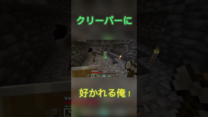 クリーパーもうやめて！！　#マインクラフト　#マイクラ  #クリーパー  #ゲームオーバー