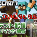 【マイクラ参加型】何でもありのマインクラフト！今日はコマンド練習します！【概要欄参照】