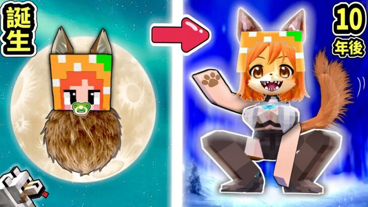 【アオーン！🐺】オオカミとして生きるマインクラフトサバイバル🌙(#ぴこみんず)赤ちゃん人間が生まれてから狼大人になるまで🐺