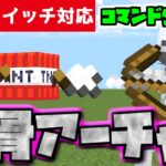 【コマンド少なめ！】マイクラサバイバルで矢を放ち着弾地点を爆発させる最強ボス『骨アーチャー』再現コマンド【スイッチ対応】