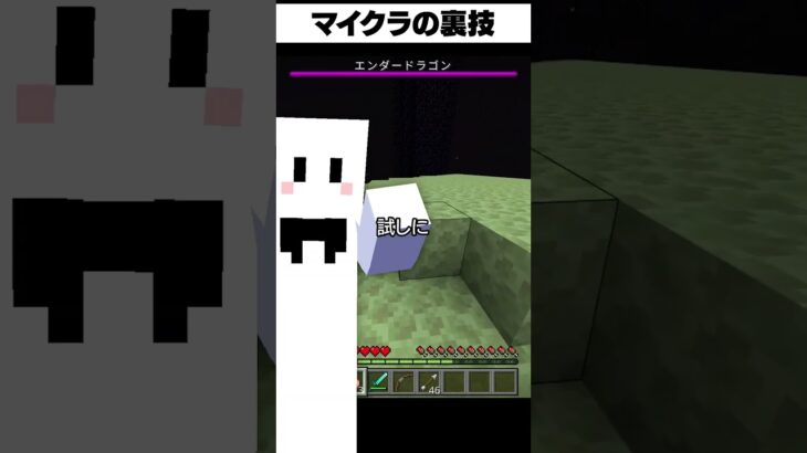 知らないと損する裏技【マイクラ】【かいと】