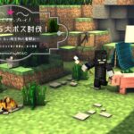 極めろ！チキンプレイ！魔法で５大ボス討伐！＃２【マイクラ】