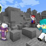 【マイクラ】全てが石になった世界でエンドラ討伐【マインクラフト】