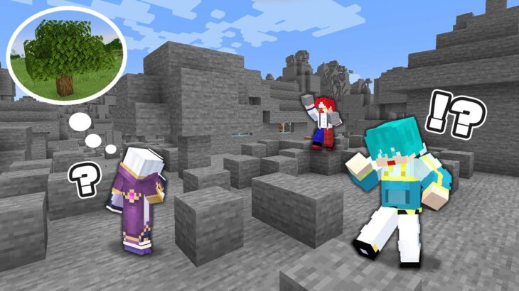 【マイクラ】全てが石になった世界でエンドラ討伐【マインクラフト】