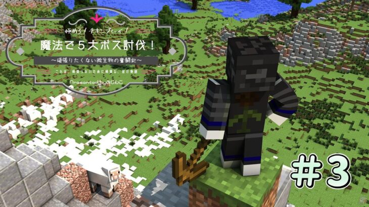 極めろ！チキンプレイ！魔法で５大ボス討伐！＃３【マイクラ】