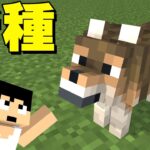 新色のオオカミがきたぁぁぁぁ！！【マイクラ】