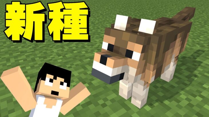 新色のオオカミがきたぁぁぁぁ！！【マイクラ】