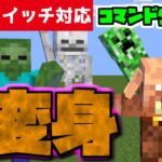 【コマンド少なめ！】マイクラサバイバルで大量の敵に囲まれても安心！『モブに変身』再現コマンド【スイッチ対応】