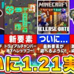 【最新】マイクラ1.21アップデートの実装日は〇月〇日に決定！最新アプデ情報を解説！【まいくら・マインクラフト】