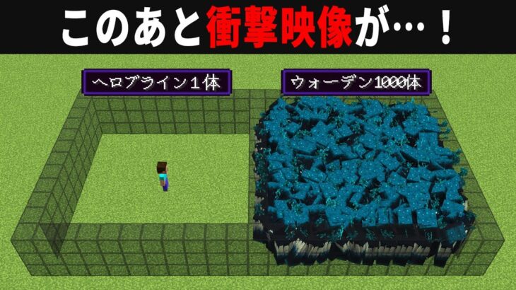 【海外検証】謎が多すぎるマインクラフト10選【ゆっくり実況】【マイクラ】