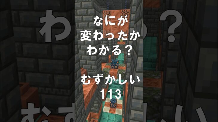 マインクラフトでマイクイズ！なにがかわったかわかる？アハ体験で間違い探し（むずかしい）113 #shorts #マイクラ #マインクラフト #minecraft #マインクラフトでマイクイズ