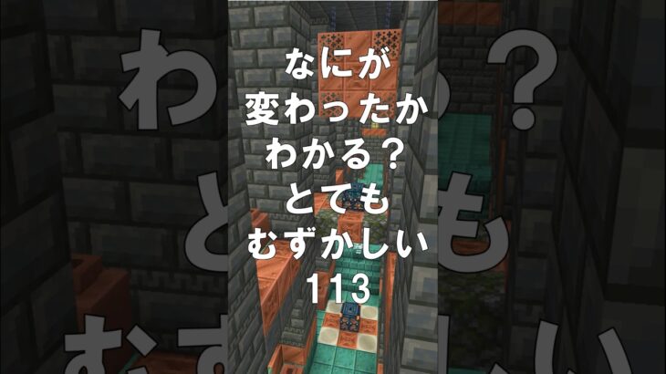 マインクラフトでマイクイズ！なにがかわったかわかる？アハ体験で間違い探し（とてもむずかしい）113 #shorts #マイクラ #マインクラフト #minecraft #マインクラフトでマイクイズ