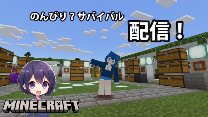 【マイクラ】＃19 エリトラを入手したのでエンチャントして飛ぼうぜ！な枠 / Minecraft