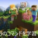 マイクラコマンド研究29