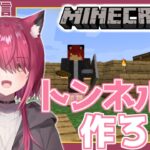 【 #マイクラ 】トンネルの匠が建築するよ＃78【 #バ美肉 】【 #Vtuber / 弐猫金華 】